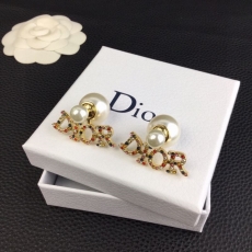 Christian Dior Earrings